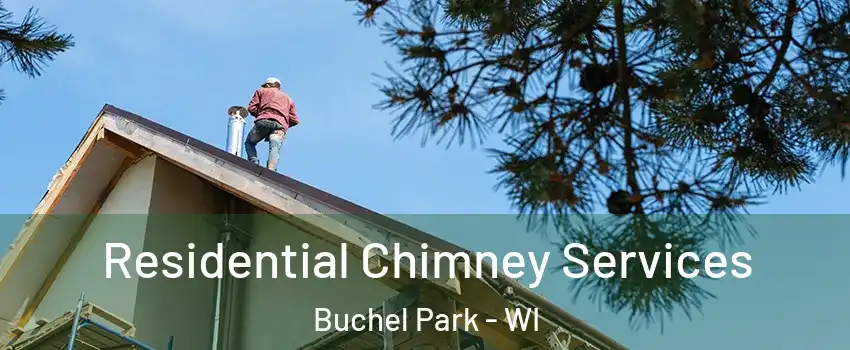 Residential Chimney Services Buchel Park - WI