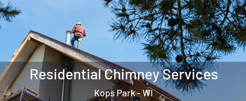 Residential Chimney Services Kops Park - WI