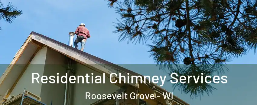 Residential Chimney Services Roosevelt Grove - WI