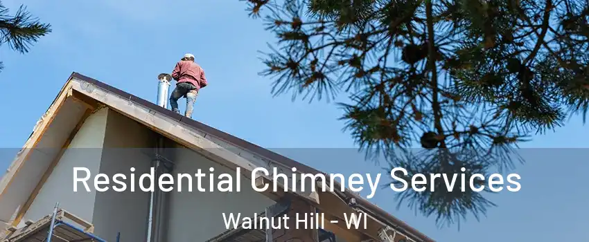 Residential Chimney Services Walnut Hill - WI