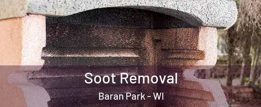 Soot Removal Baran Park - WI