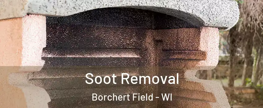 Soot Removal Borchert Field - WI