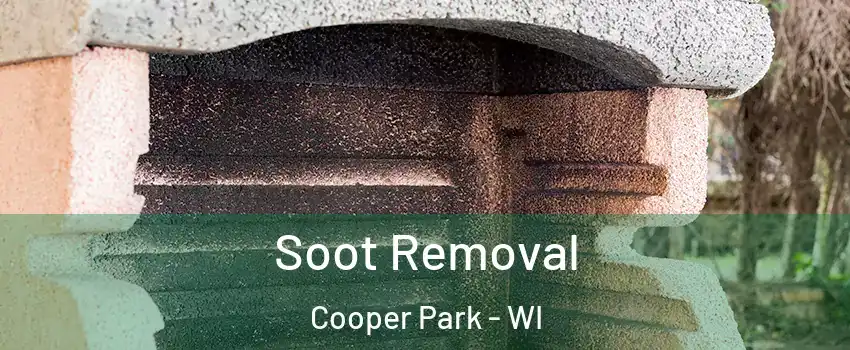 Soot Removal Cooper Park - WI