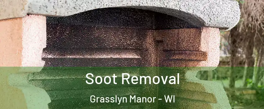 Soot Removal Grasslyn Manor - WI