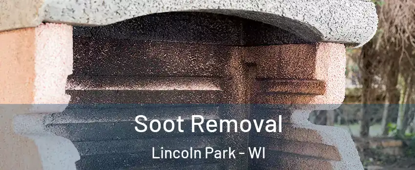 Soot Removal Lincoln Park - WI