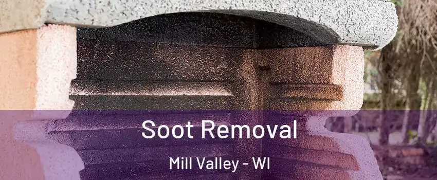 Soot Removal Mill Valley - WI