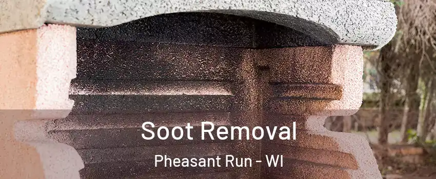 Soot Removal Pheasant Run - WI