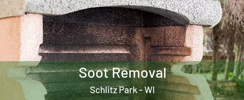 Soot Removal Schlitz Park - WI