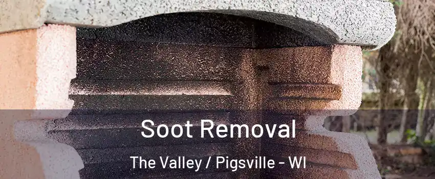 Soot Removal The Valley / Pigsville - WI