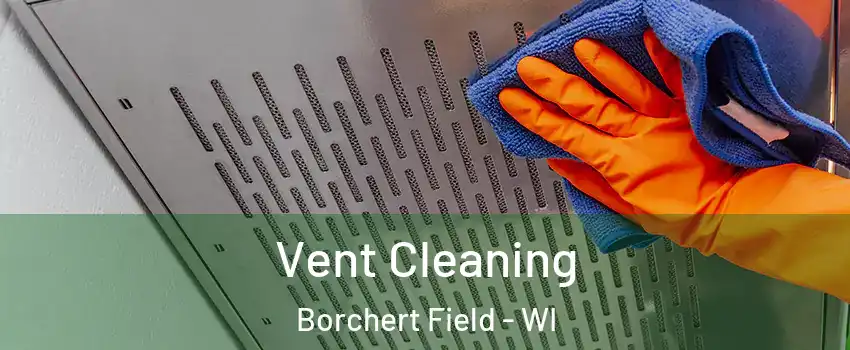 Vent Cleaning Borchert Field - WI