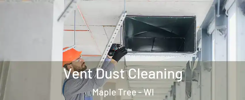 Vent Dust Cleaning Maple Tree - WI