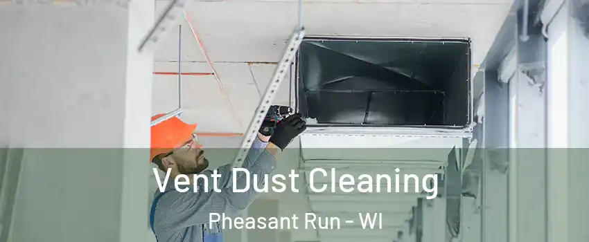 Vent Dust Cleaning Pheasant Run - WI