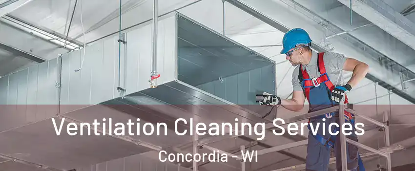 Ventilation Cleaning Services Concordia - WI