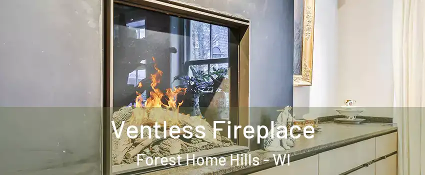 Ventless Fireplace Forest Home Hills - WI