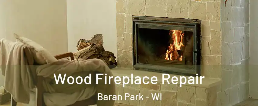 Wood Fireplace Repair Baran Park - WI