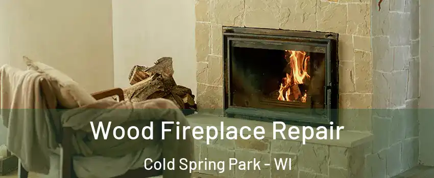 Wood Fireplace Repair Cold Spring Park - WI