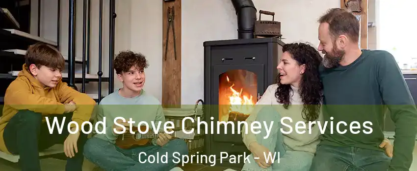 Wood Stove Chimney Services Cold Spring Park - WI