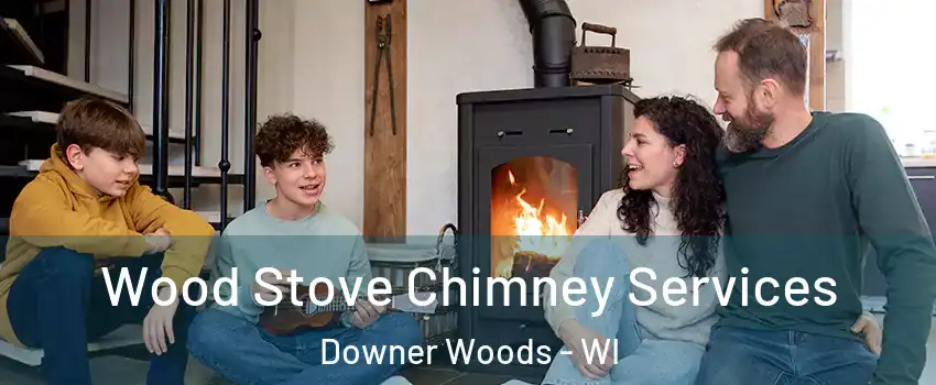 Wood Stove Chimney Services Downer Woods - WI