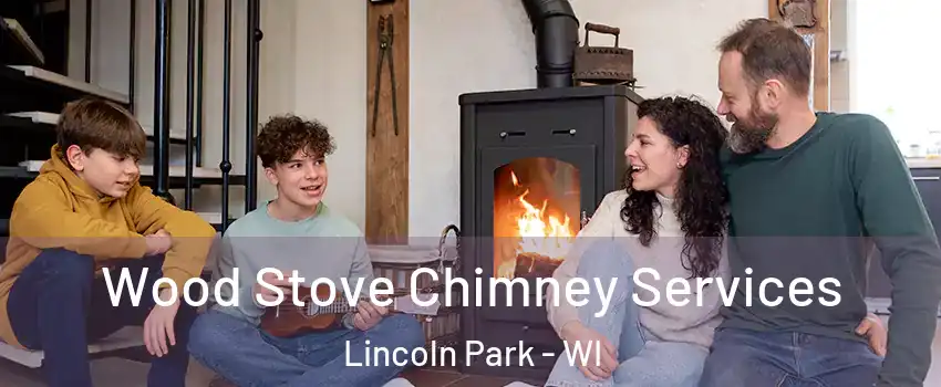 Wood Stove Chimney Services Lincoln Park - WI