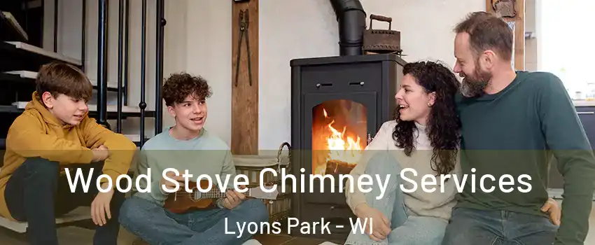 Wood Stove Chimney Services Lyons Park - WI