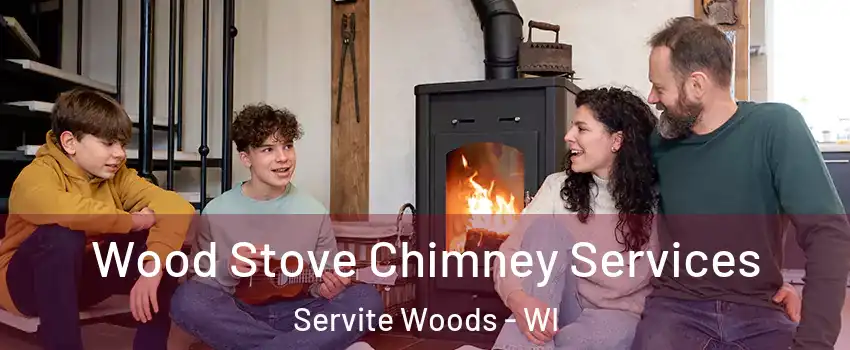 Wood Stove Chimney Services Servite Woods - WI