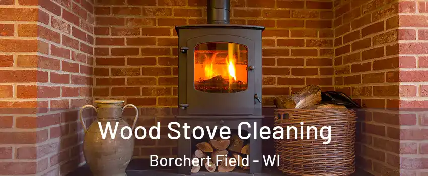 Wood Stove Cleaning Borchert Field - WI