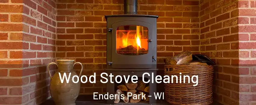 Wood Stove Cleaning Enderis Park - WI