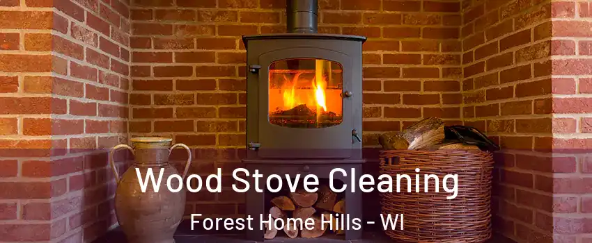 Wood Stove Cleaning Forest Home Hills - WI