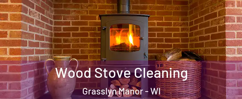 Wood Stove Cleaning Grasslyn Manor - WI