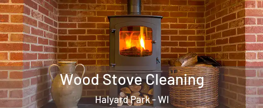 Wood Stove Cleaning Halyard Park - WI