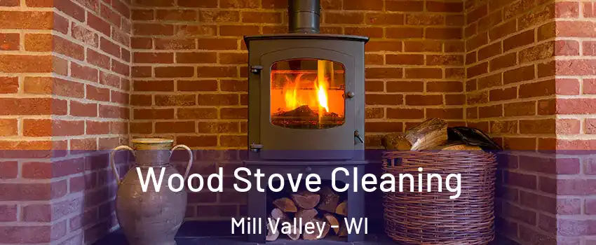 Wood Stove Cleaning Mill Valley - WI