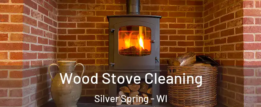 Wood Stove Cleaning Silver Spring - WI