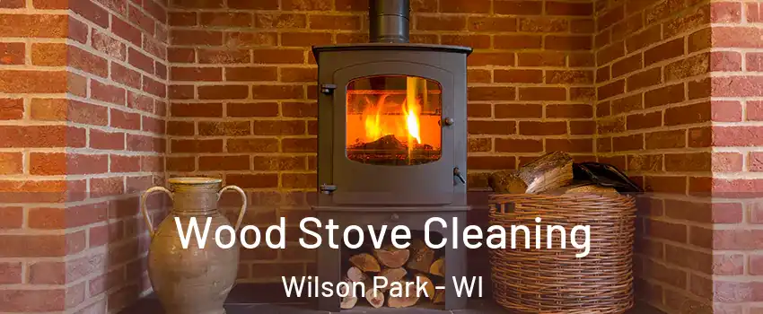 Wood Stove Cleaning Wilson Park - WI