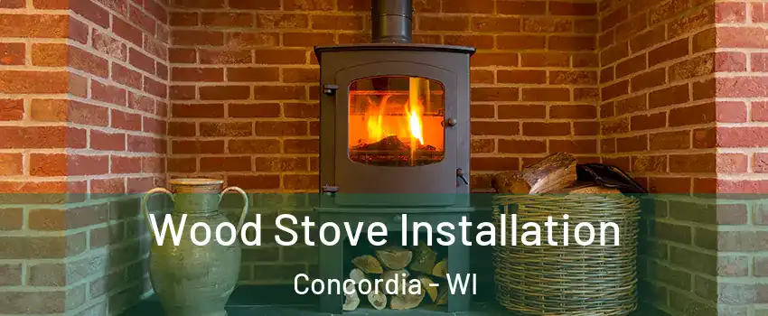 Wood Stove Installation Concordia - WI