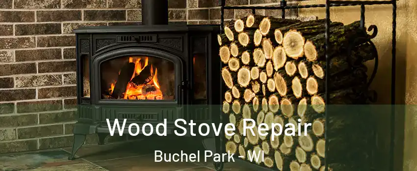 Wood Stove Repair Buchel Park - WI