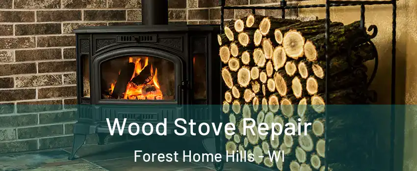 Wood Stove Repair Forest Home Hills - WI