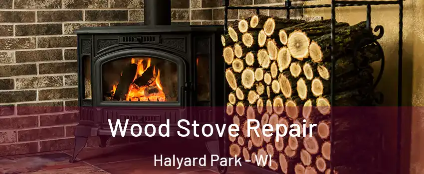 Wood Stove Repair Halyard Park - WI